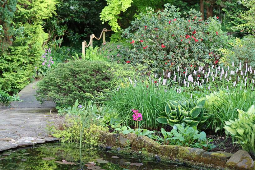 how much does garden maintenance cost - Lush garden path with pond, hostas, shrubs, and flowering plants