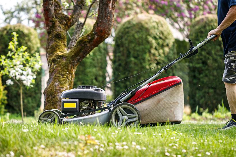 how much does garden maintenance cost - Lawn mower cutting grass in a landscaped garden