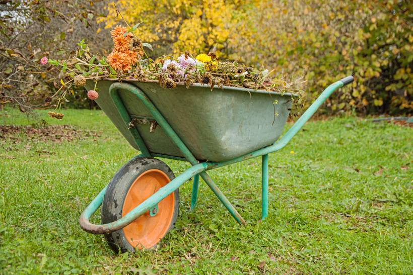 how much does garden maintenance cost - Wheelbarrow filled with garden waste and flowers on a lawn