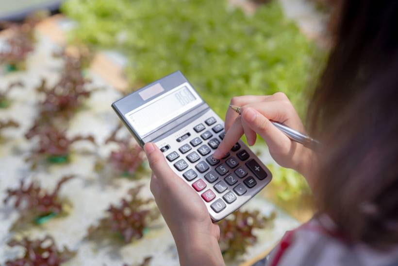 how much does a gardener cost - Calculator held over plants for planning gardening expenses