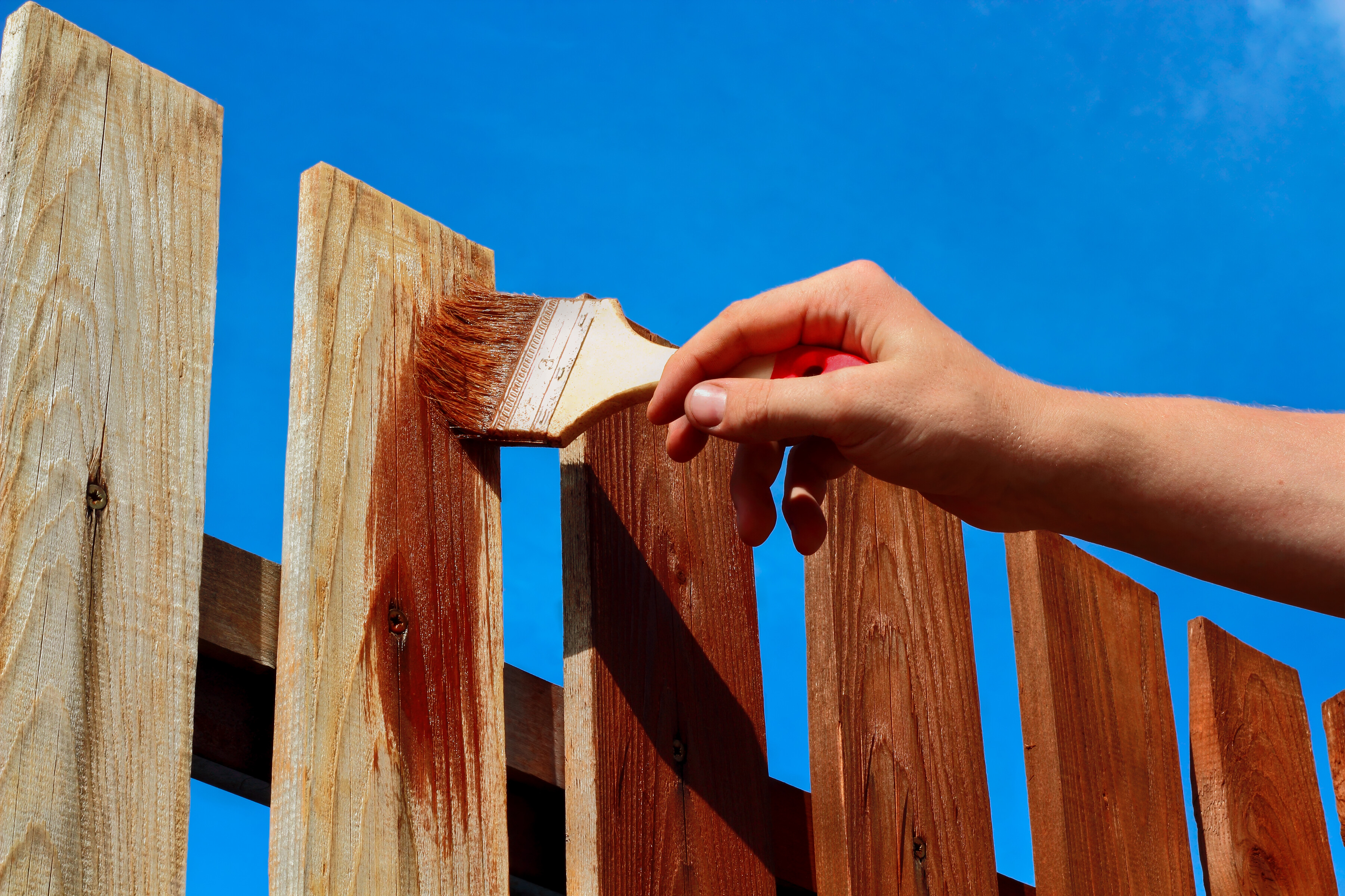 Fence painting project
