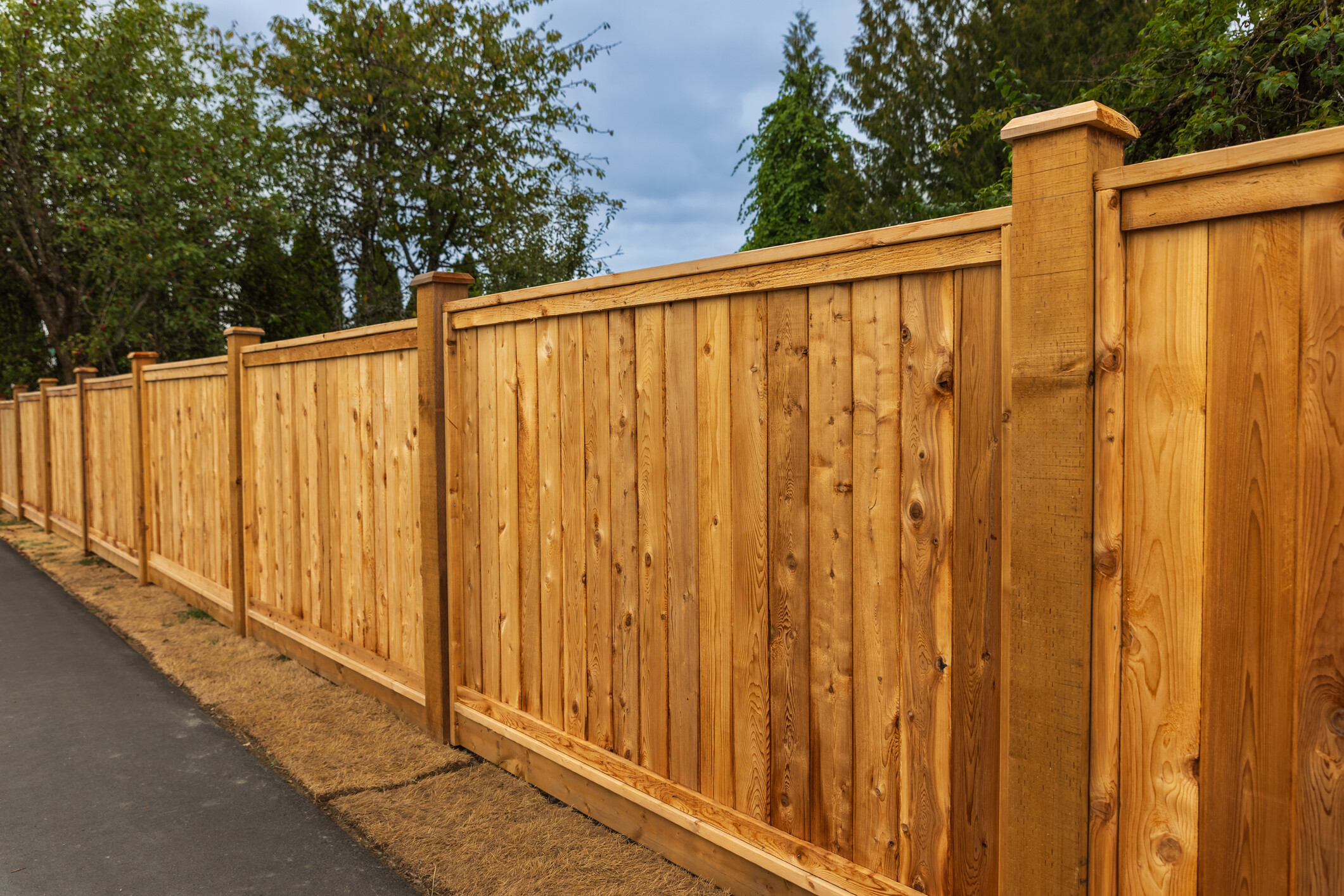 A tall vertical panel timber fence treated with a natural wood stain. - garden fencing ideas