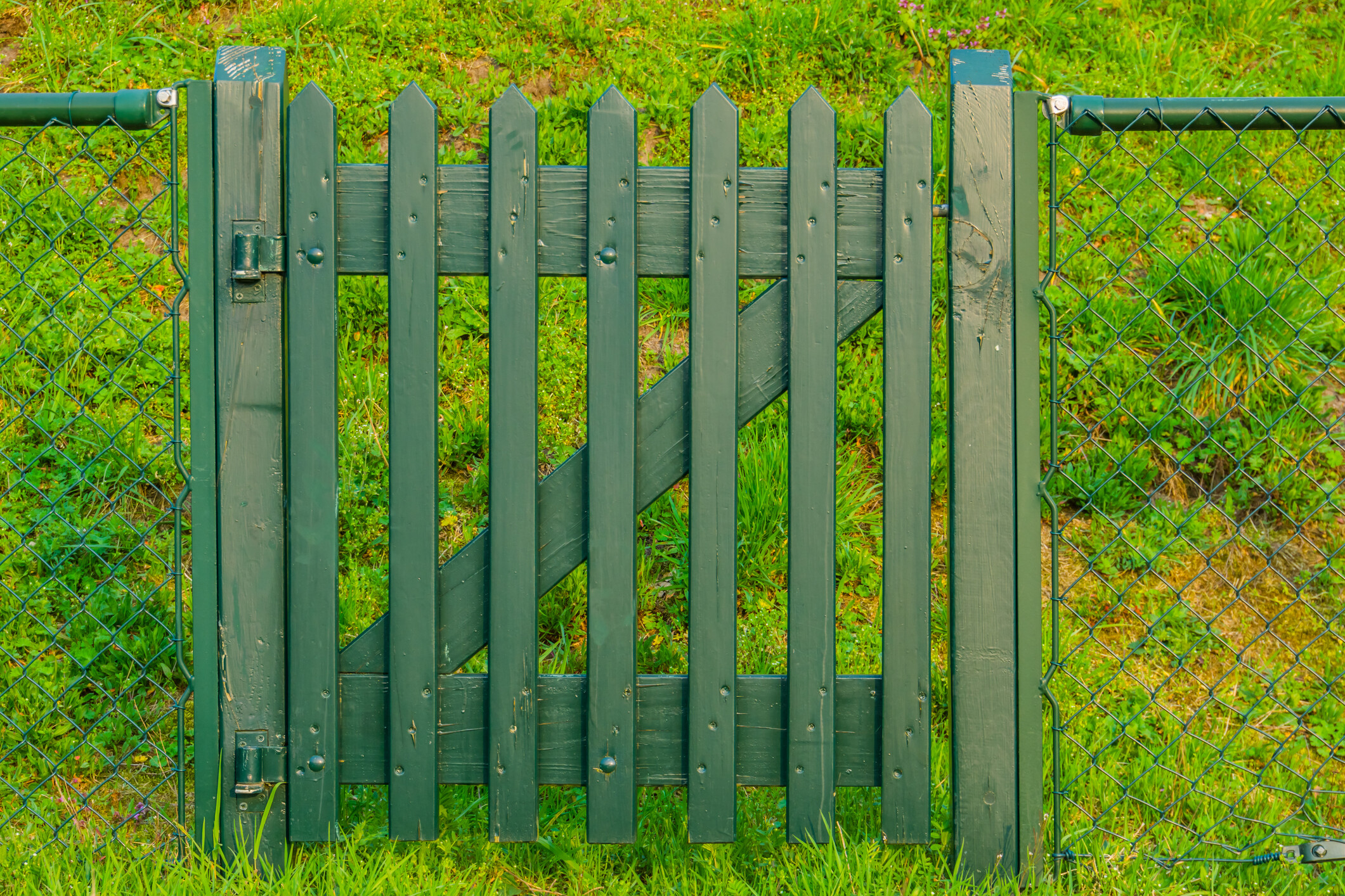 Close-up of a small timber gate painted sage green in front of a grassy hill. - garden fencing ideas