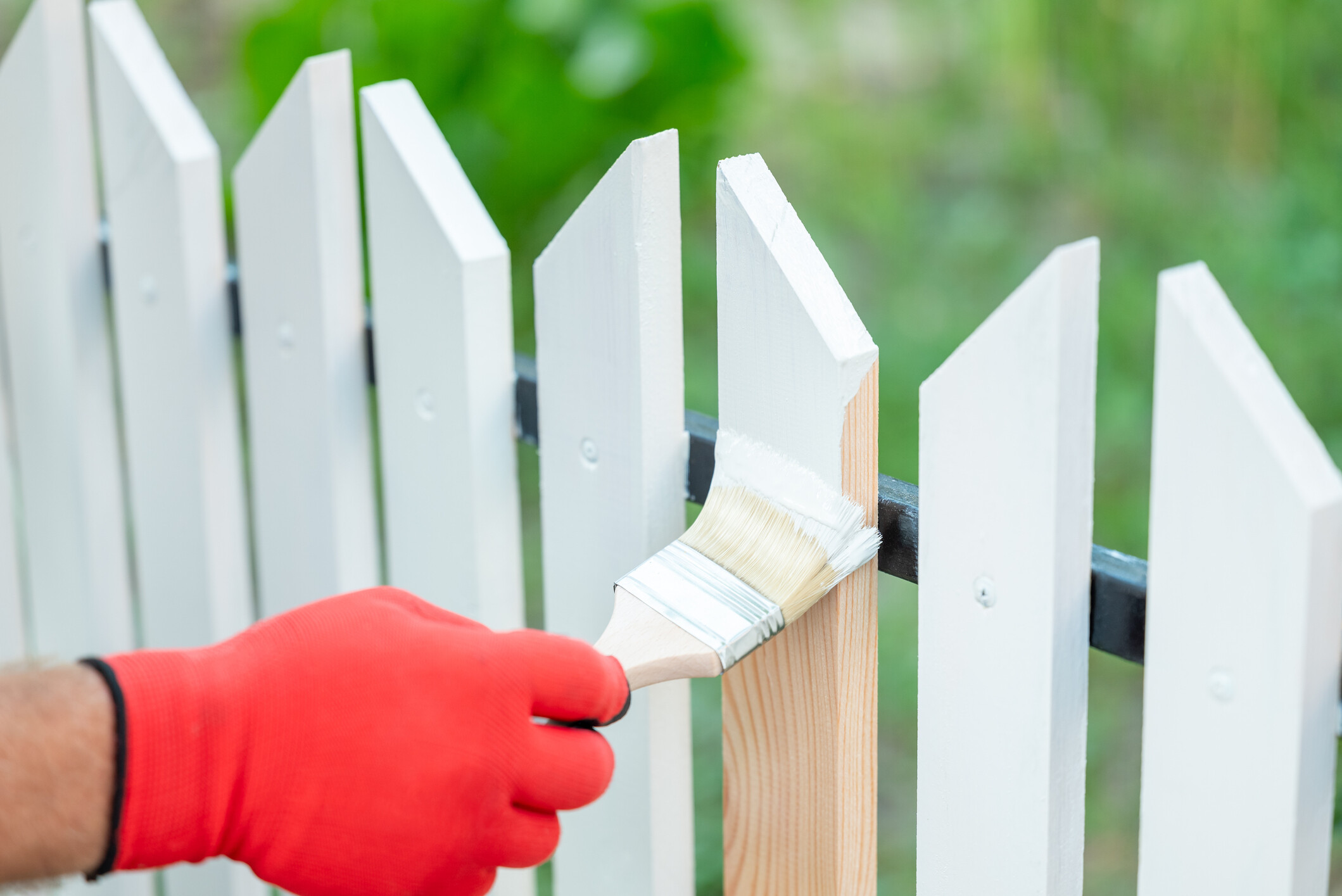 Refreshing an outdoor timber boundary fence with a traditional whitewash finish. - garden fencing cost