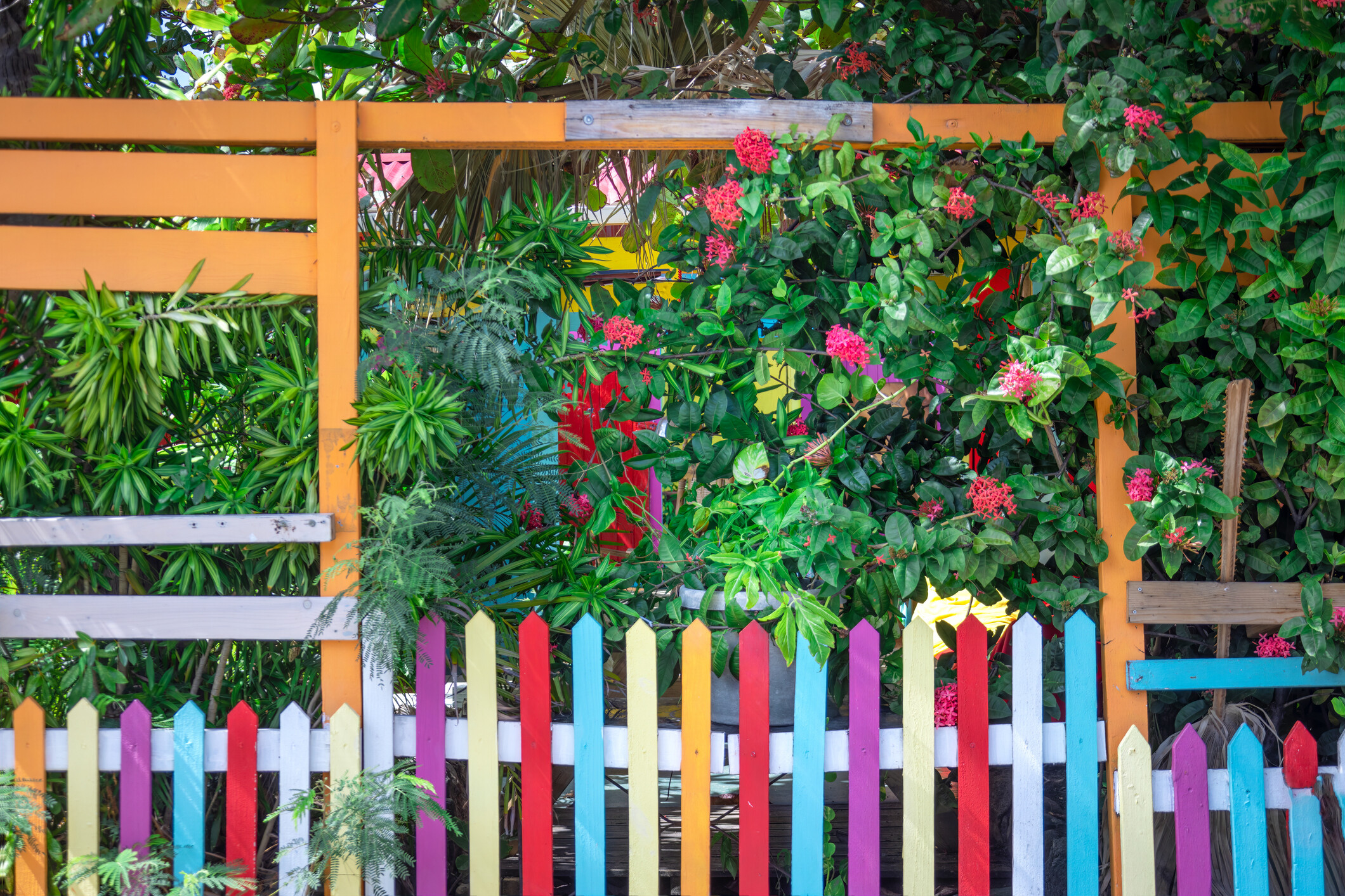 A vibrant garden fence featuring bold colours painted on alternating wooden pickets. - garden fencing ideas