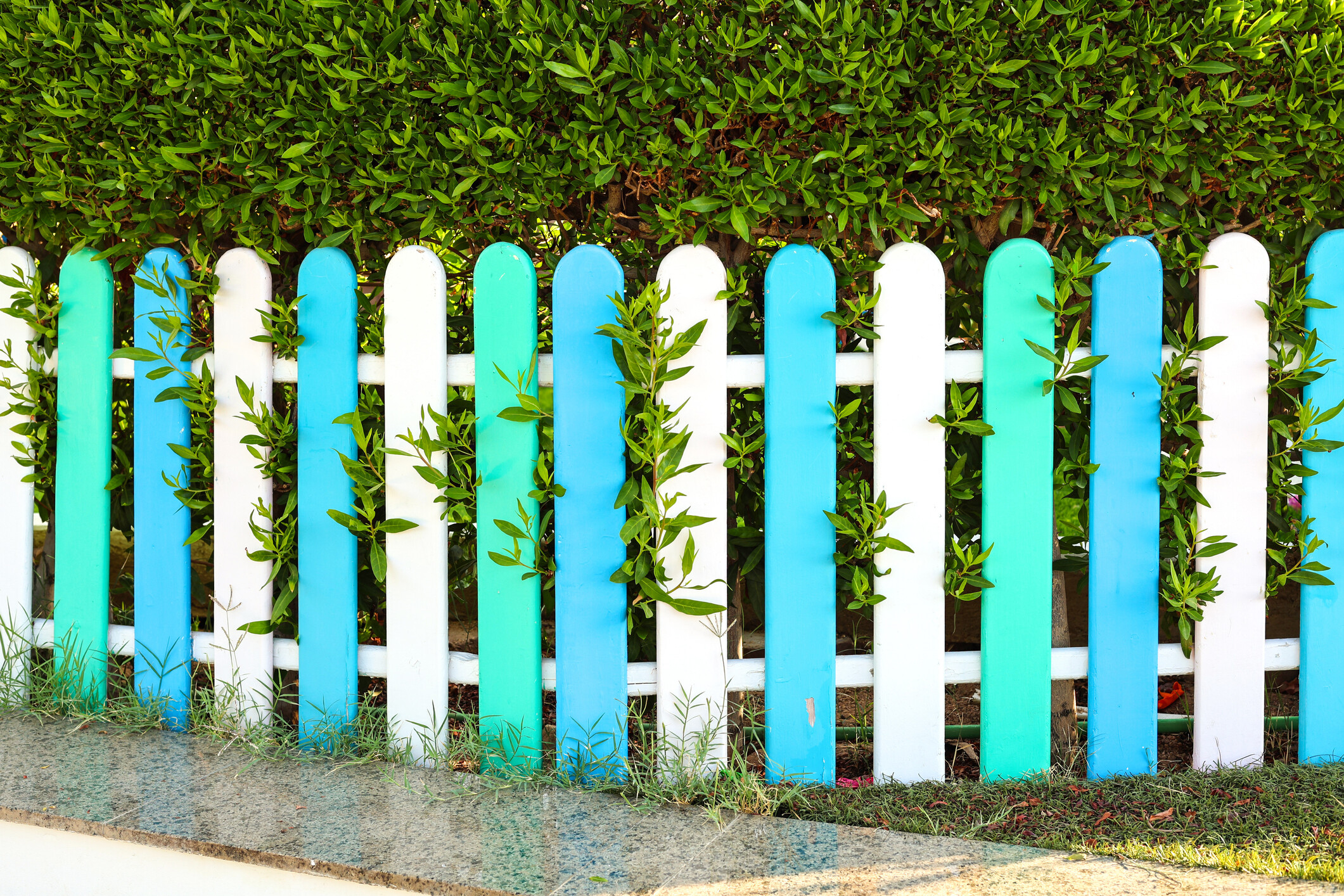 A timber garden fence featuring round-top pickets in cool beach-inspired coastal tones. - garden fencing ideas