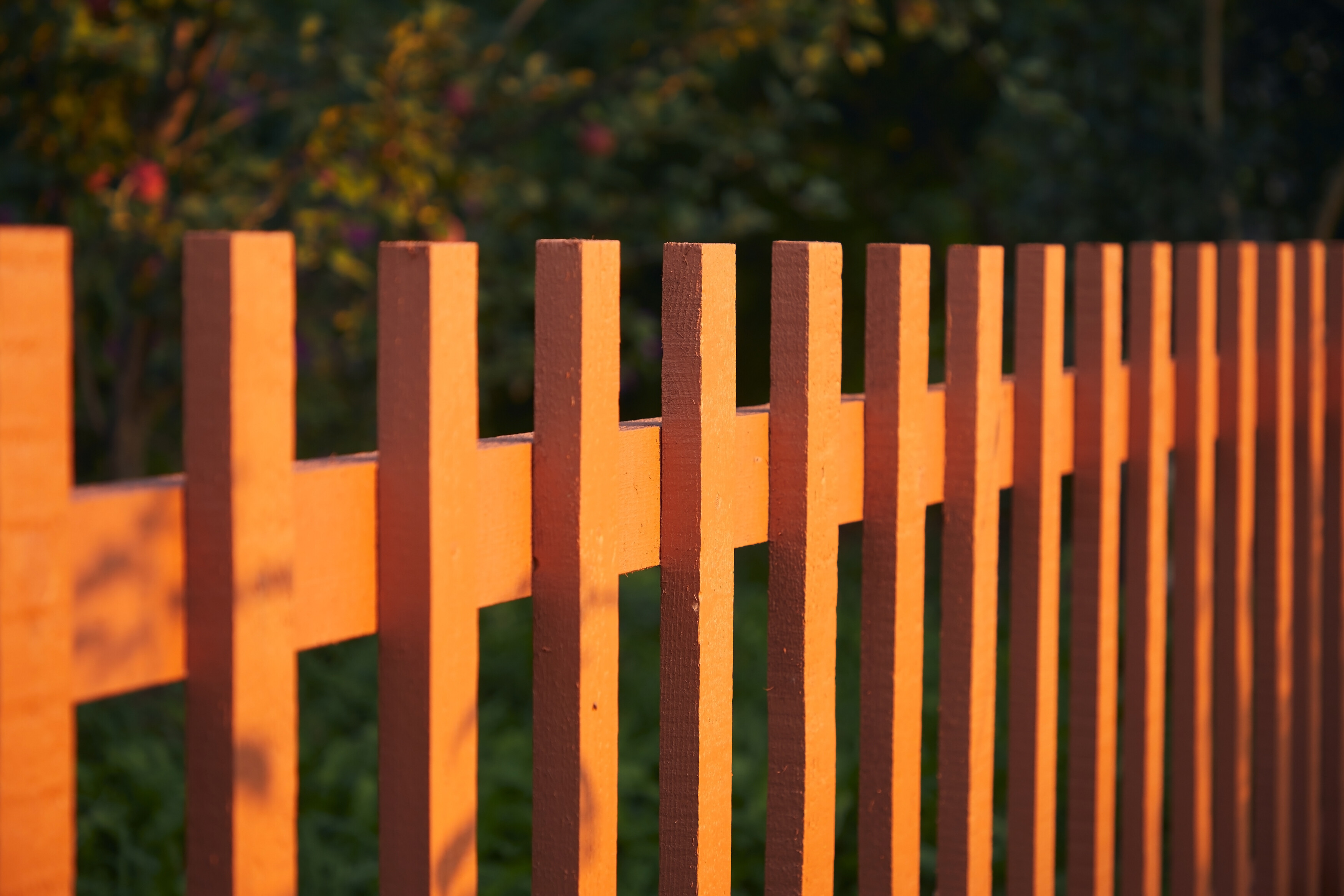 An orange-brown timber picket fence glowing in the warm sunlight. - garden fencing cost