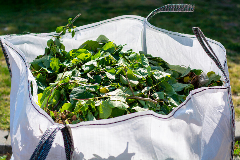 A bulk waste bag filled with large green leaves and trailing vines sits on the lawn. - landscaping tasks