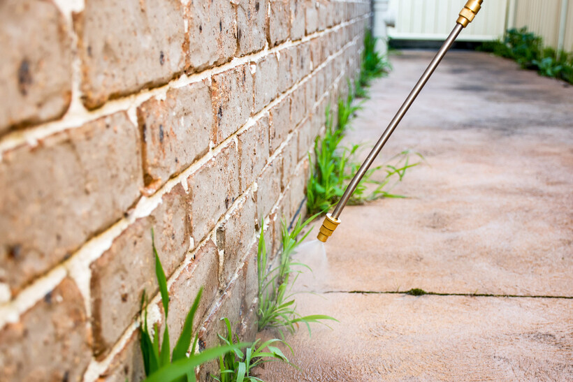 A brass-tipped spray wand releases herbicide onto weeds along a brick wall base. - landscaping tasks