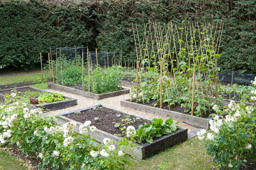how much does weeding cost - Raised vegetable garden beds with bamboo plant supports