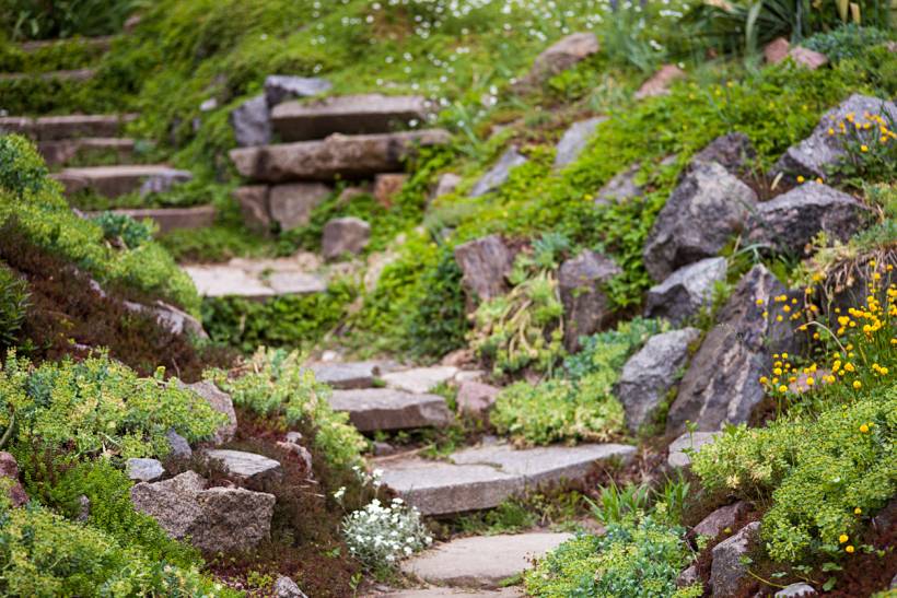 how much does weeding cost - Rock garden with stone steps and dense ground cover