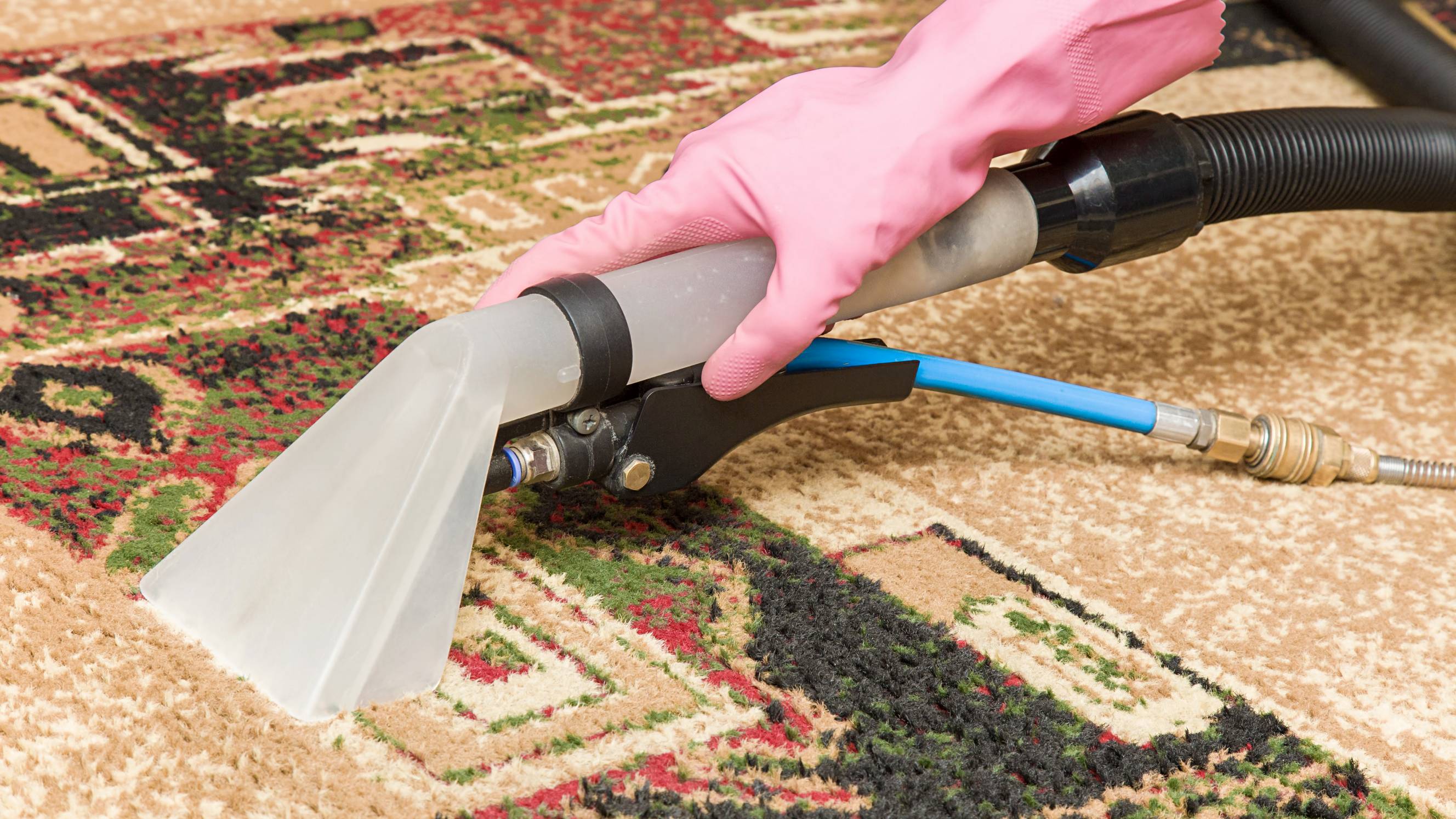 person cleaning a rug