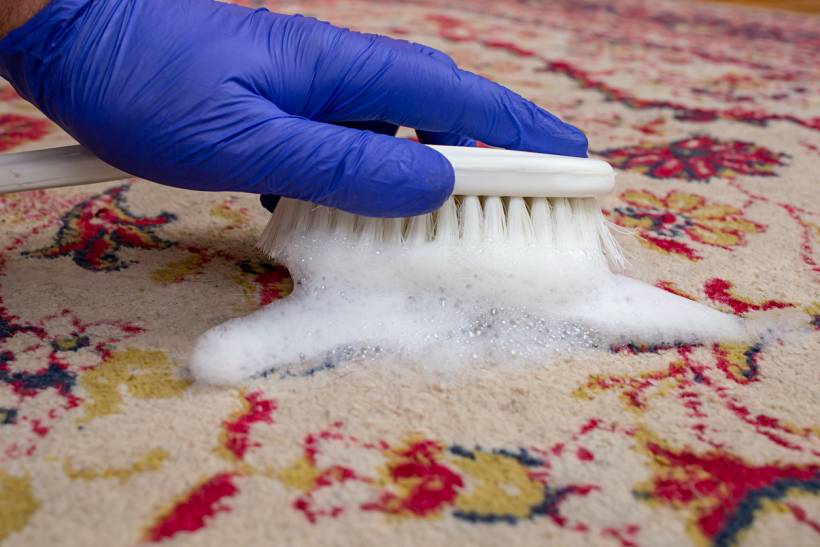 rug cleaning cost - Gloved hand scrubbing patterned rug with foamy cleaning solution
