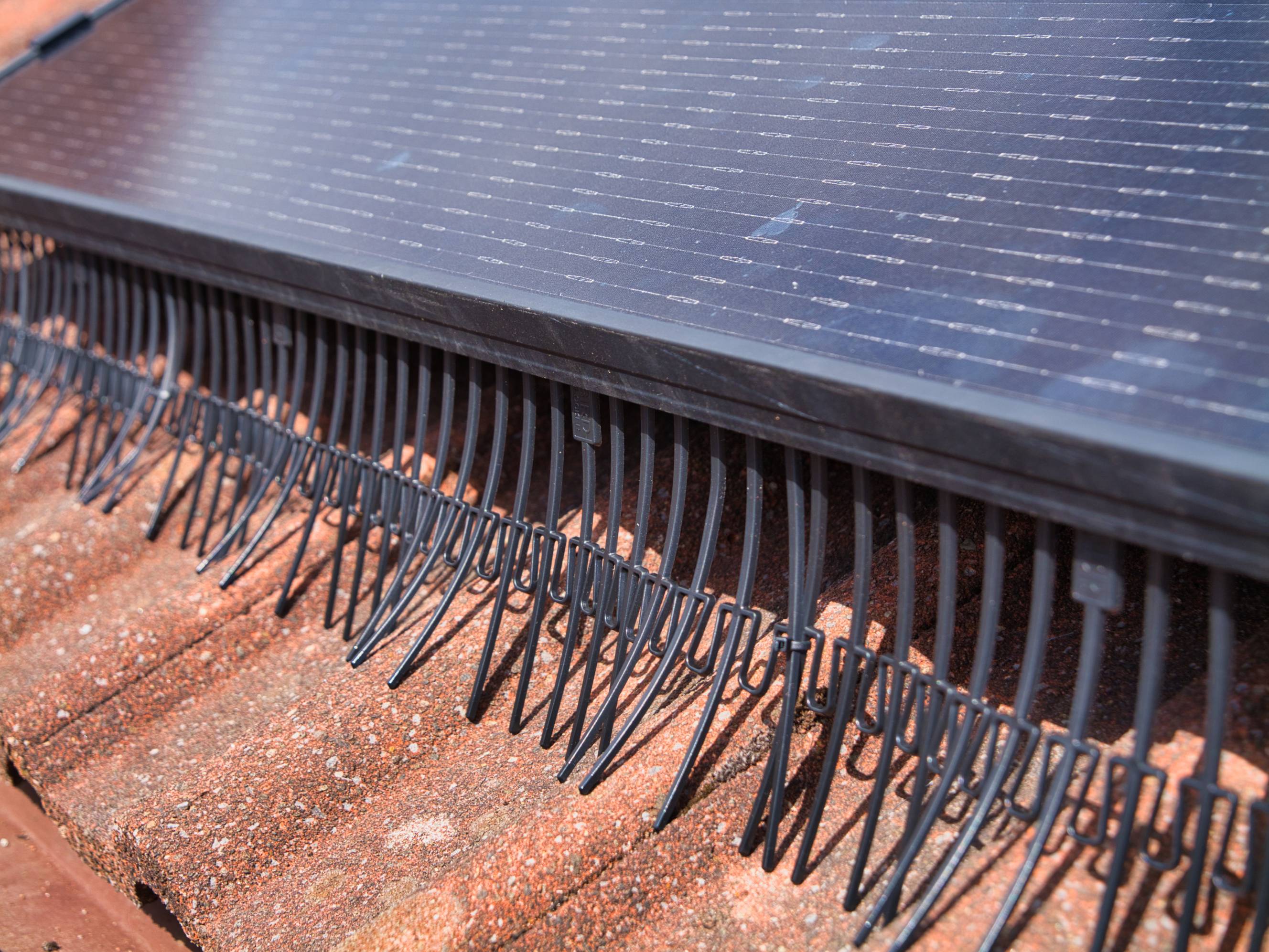Solar panel bird proofing installed on a roof