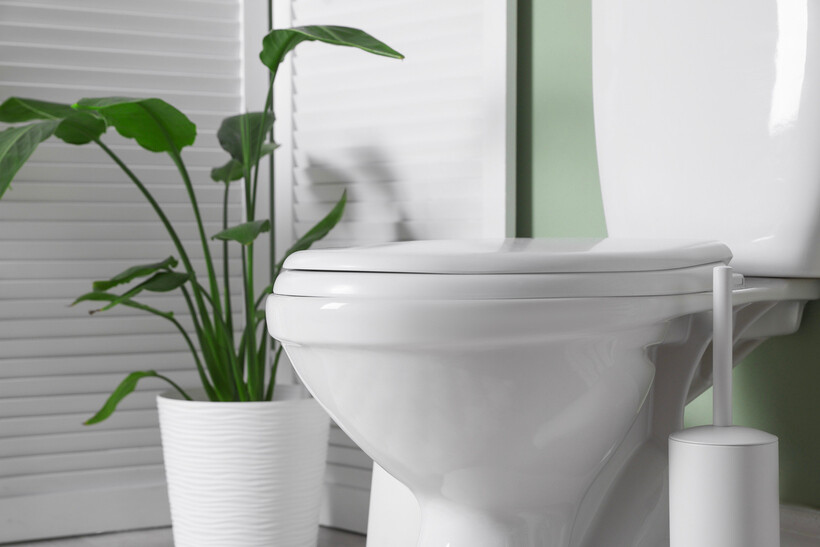 A white wall-hung toilet with a closed seat in a bright bathroom with a large indoor plant. - low-flow taps and toilets