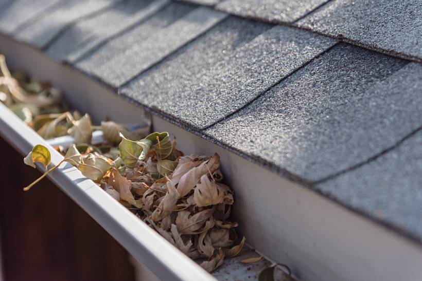 gutter guard installation cost - Leaf buildup inside a gutter along an asphalt shingle roof