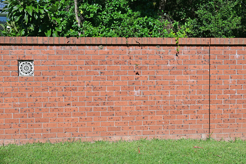 A red brick boundary wall runs along a grassed garden with greenery behind. - brick fencing cost