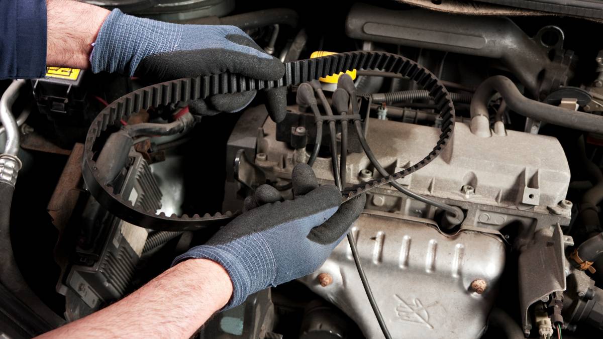 mechanic holding timing belt for car servicing