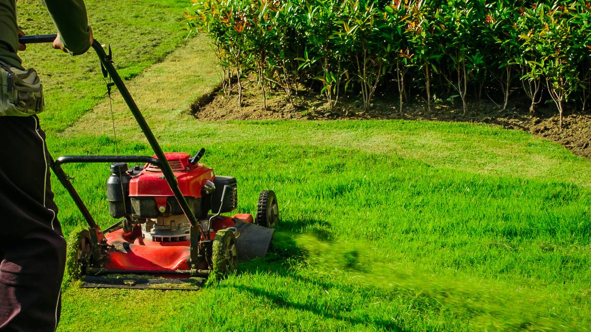 a gardener lawn mowing equipment cutting grass