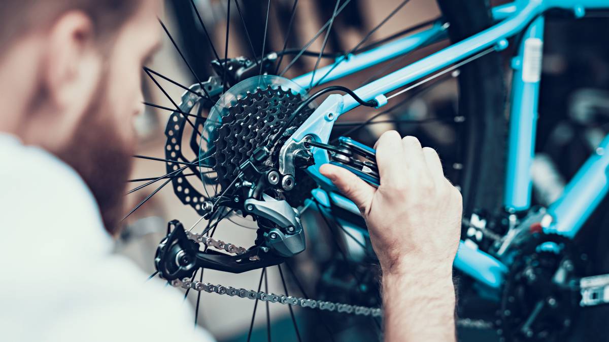 Bicycle service sale cost