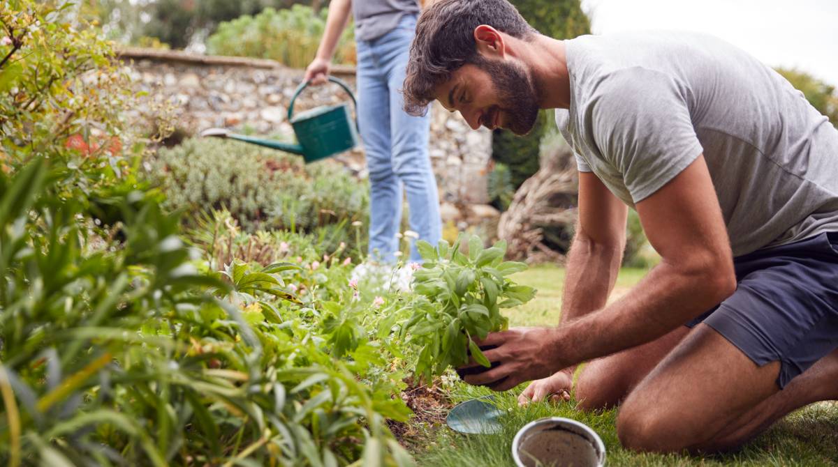 couple doing garden maintenance