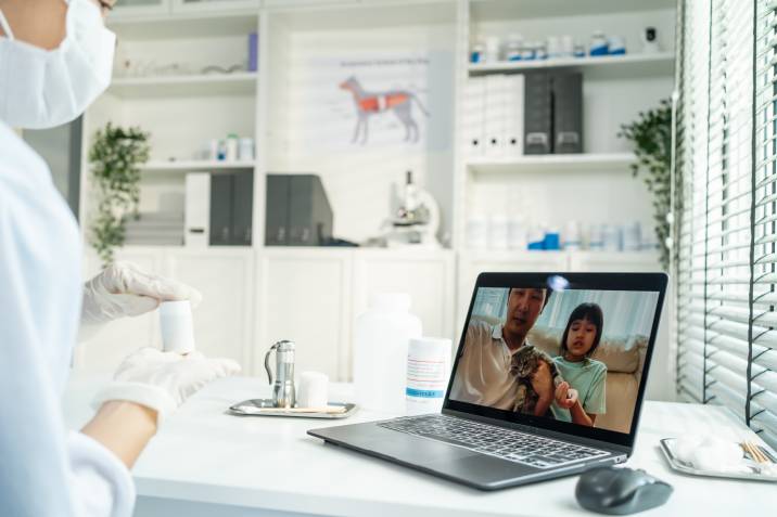 Online virtual video call. Veterinarian doing a teleconsult with a father and little girl holding sick cat