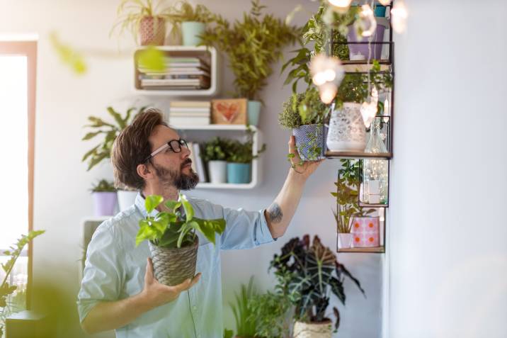 Man taking care of potted plants at home. Selling plants as a side hustle