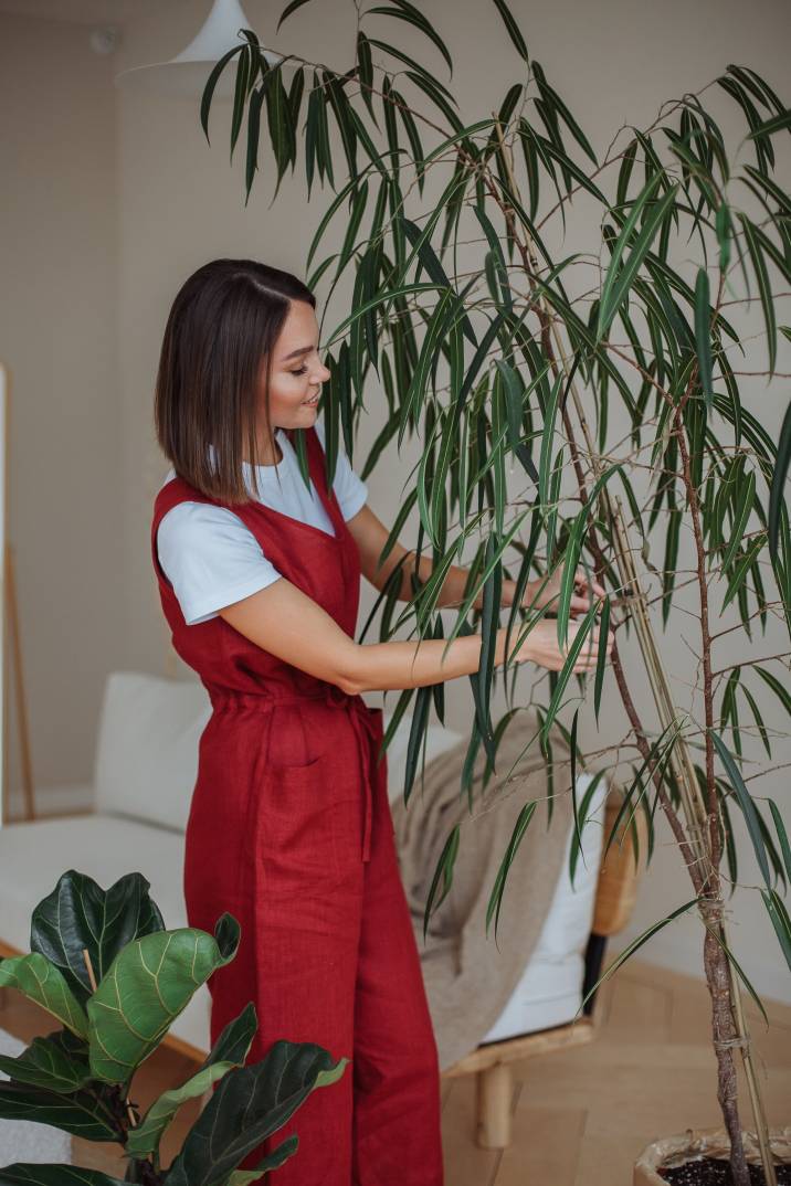 a house sitter tending to a plant