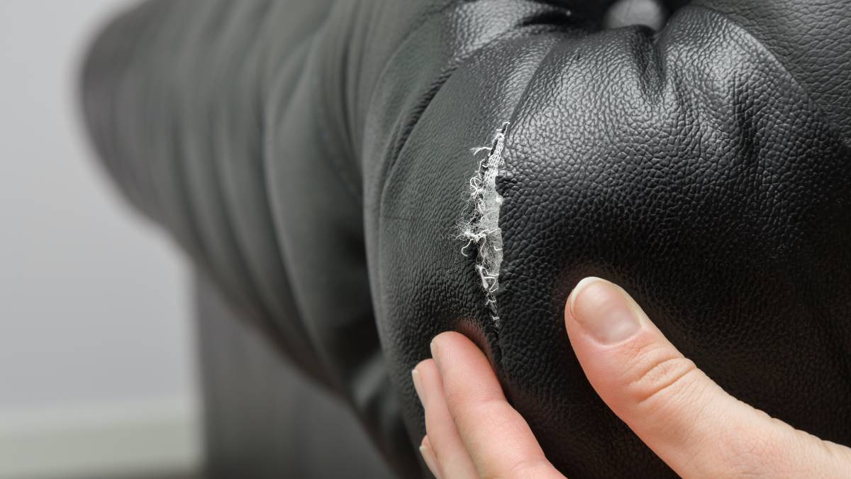 Furniture Repair Cost Guide Airtasker UK