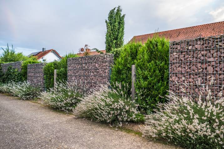 gabion wall in a garden