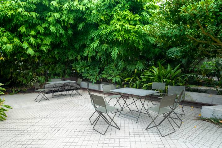 tall plants and trees acting as a backyard privacy wall