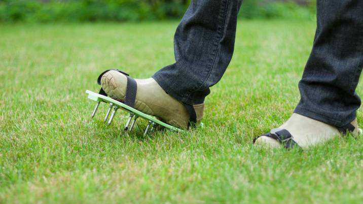 garden spiking shoes