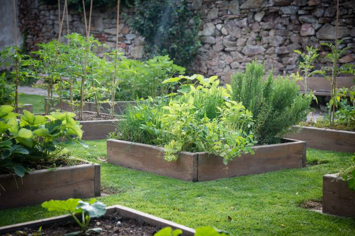 raised garden beds