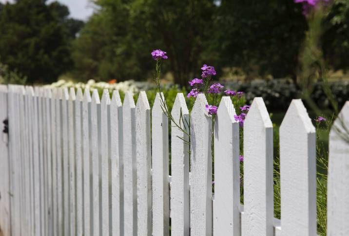 new garden fence