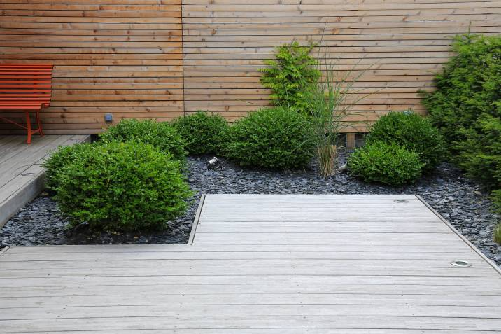 A contemporary garden with a wooden deck, neatly trimmed bushes, black stone mulch, and a wooden fence