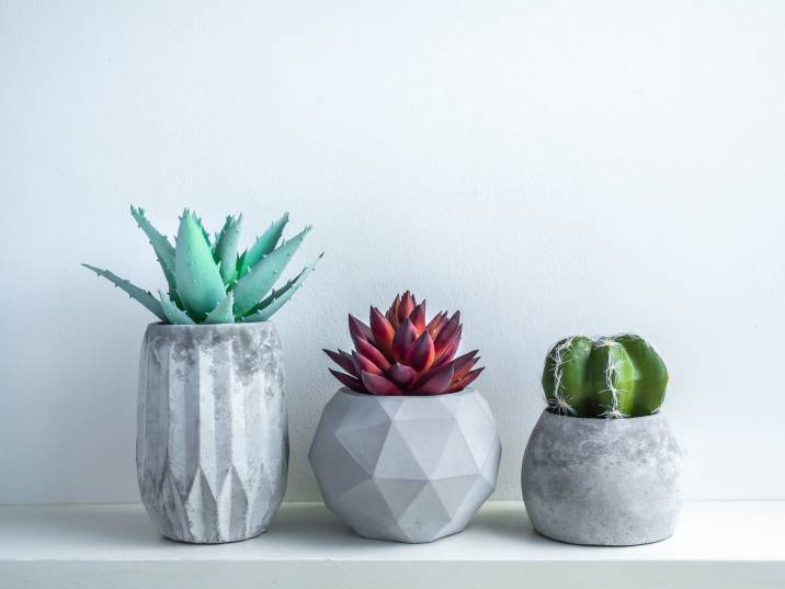 industrial design plantersThree succulents in textured concrete industrial-style planters, featuring geometric and minimalist designs, against a plain white background