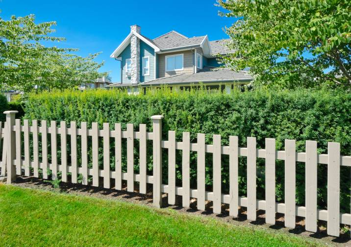 hedge and fence for extra privacy