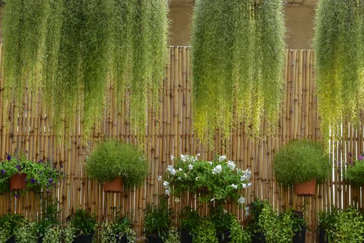 bamboo fence as a garden wall