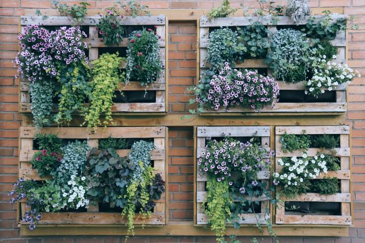 vertical garden on a brick wall