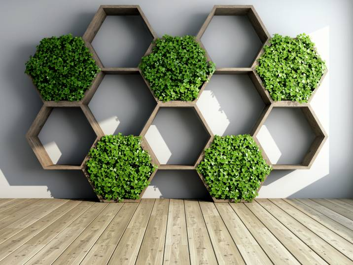 plants on geometric shelves