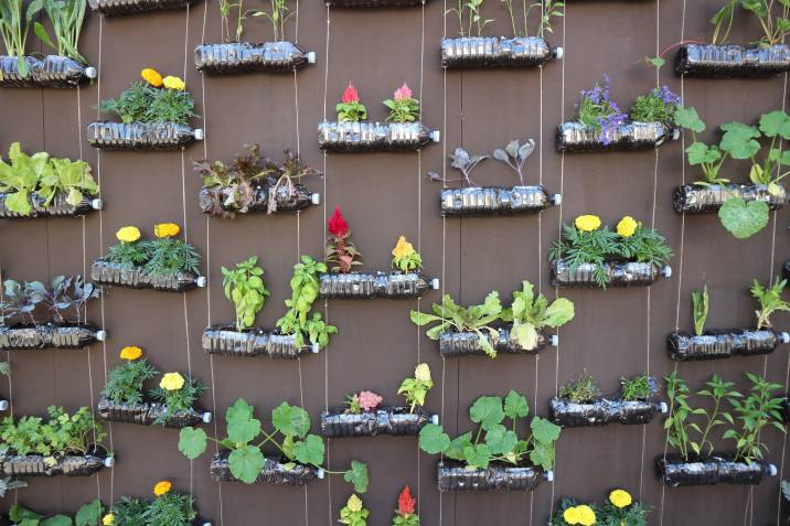 recycled plastic bottle planters
