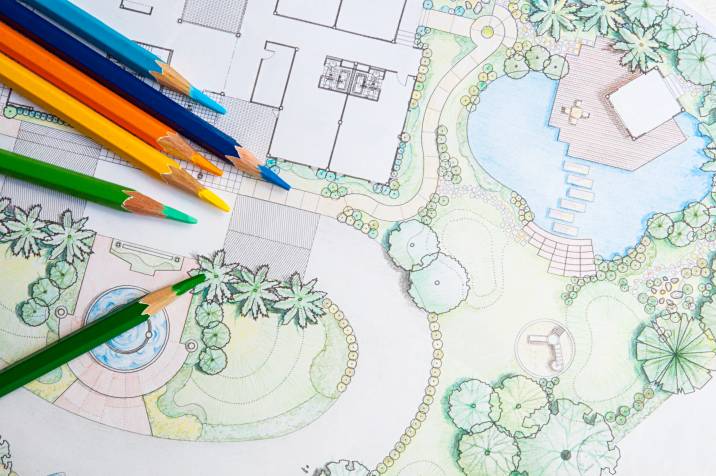 a colourful garden design