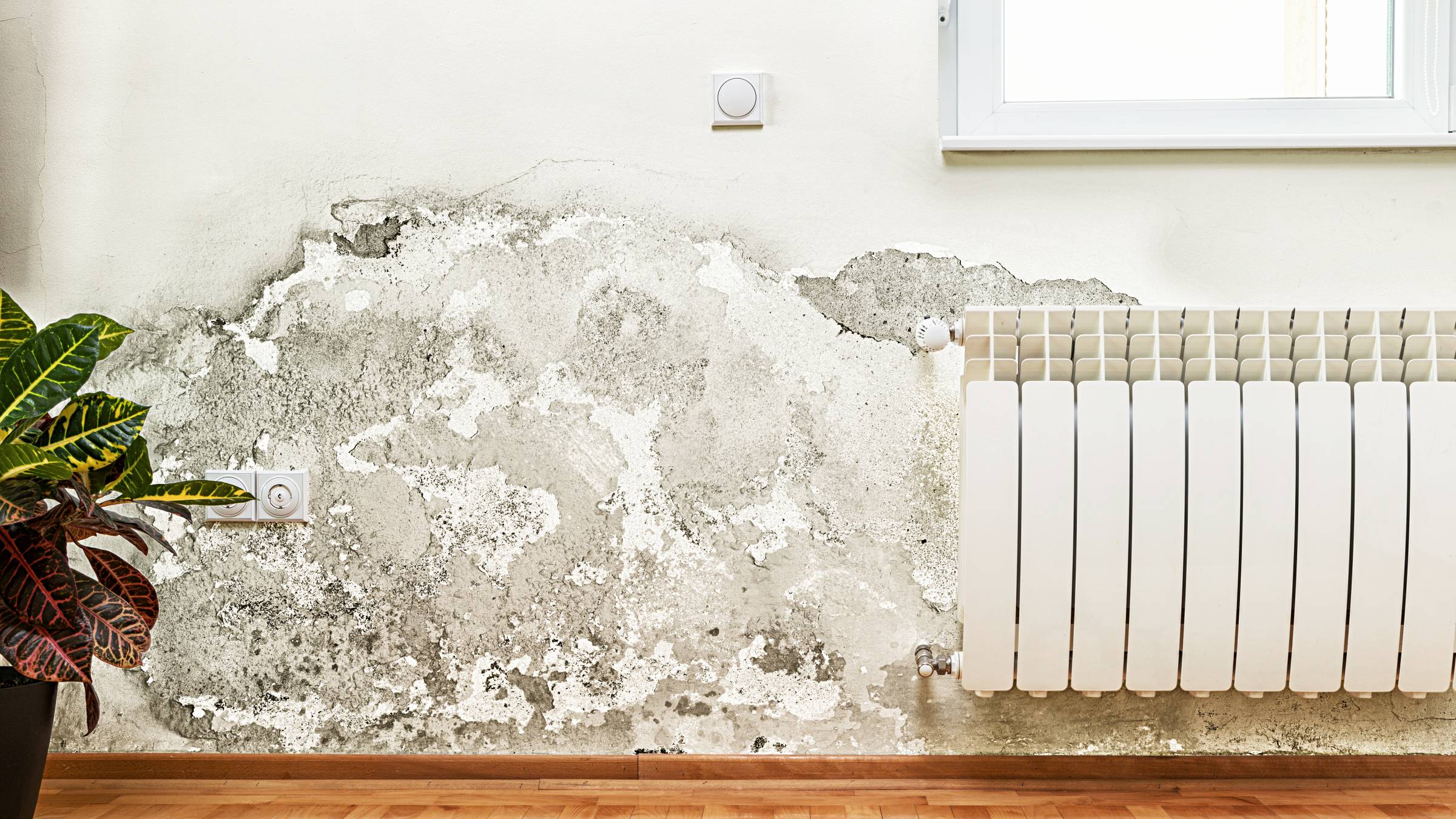 a water-damaged wall in a modern home