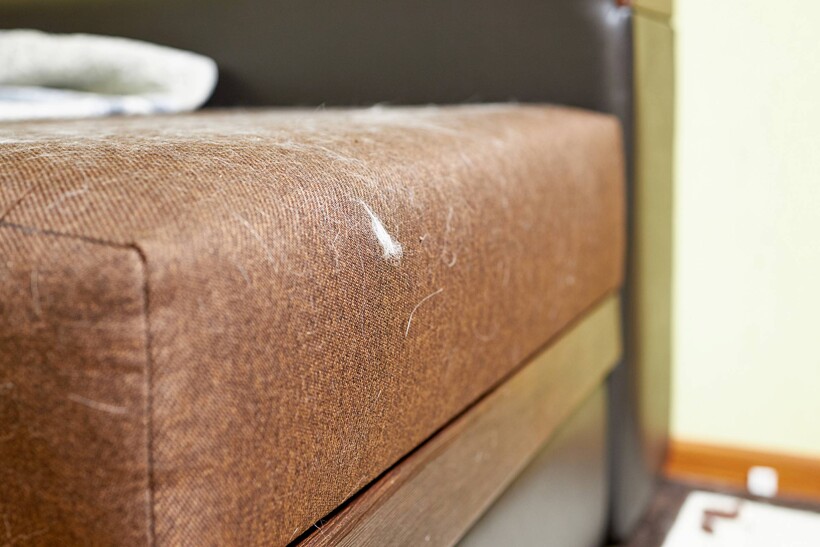 Sofa Cleaning Cost Guide 2024 Airtasker UK