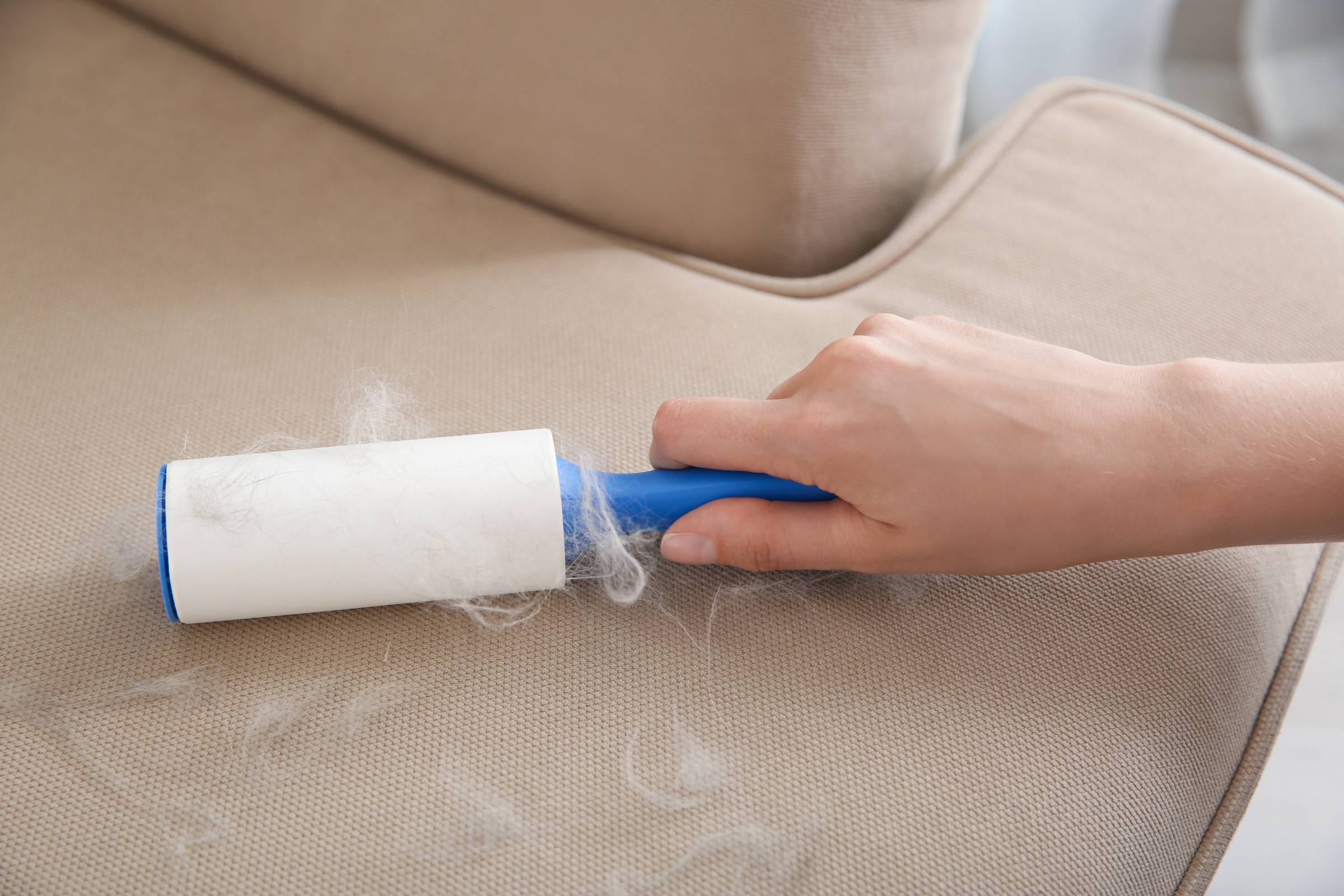 a person removing pet hair from a sofa