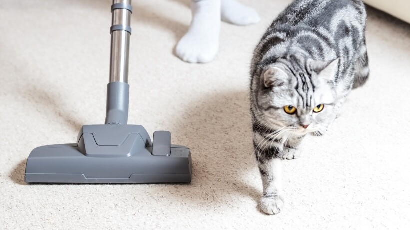 Sweeping vs vacuuming - comparison in terms of allergen removal