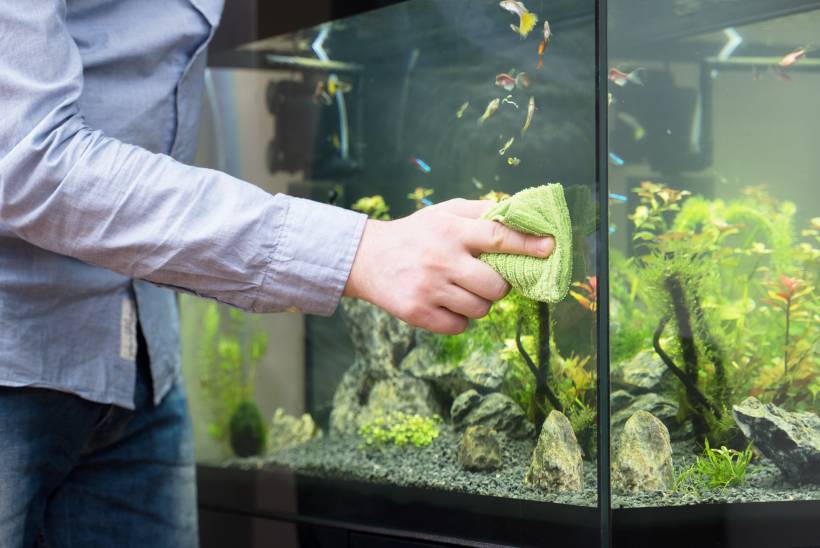 how to clean a fish tank - a man wiping a fish tank's exterior using a microfiber towel