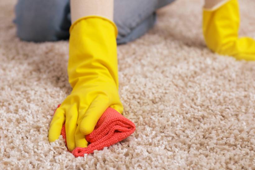 how to clean cat pee from carpet - a woman dabbing a dirty carpet with a small towel