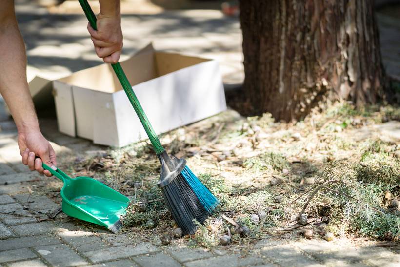 how to dispose of garden waste - a person sweeping pine needles