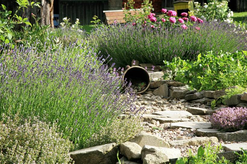 landscaping ideas for small gardens - a pathway between organised sections of flowering plants